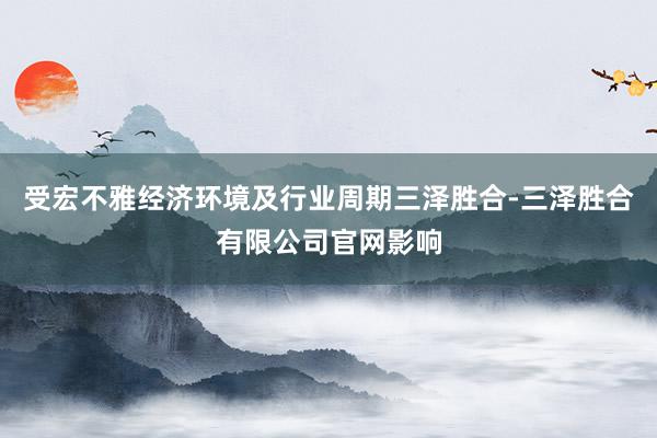 受宏不雅经济环境及行业周期三泽胜合-三泽胜合有限公司官网影响