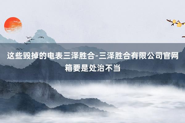 这些毁掉的电表三泽胜合-三泽胜合有限公司官网箱要是处治不当