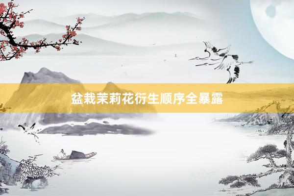 盆栽茉莉花衍生顺序全暴露