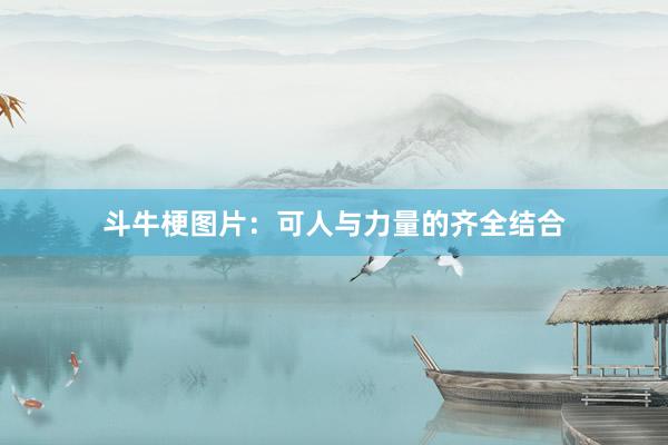 斗牛梗图片：可人与力量的齐全结合